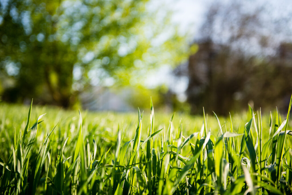 lawn services oklahoma county ok