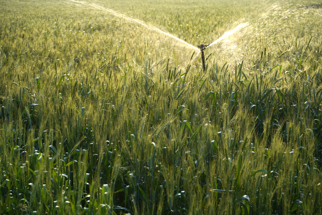 Irrigation Repair Oklahoma City OK